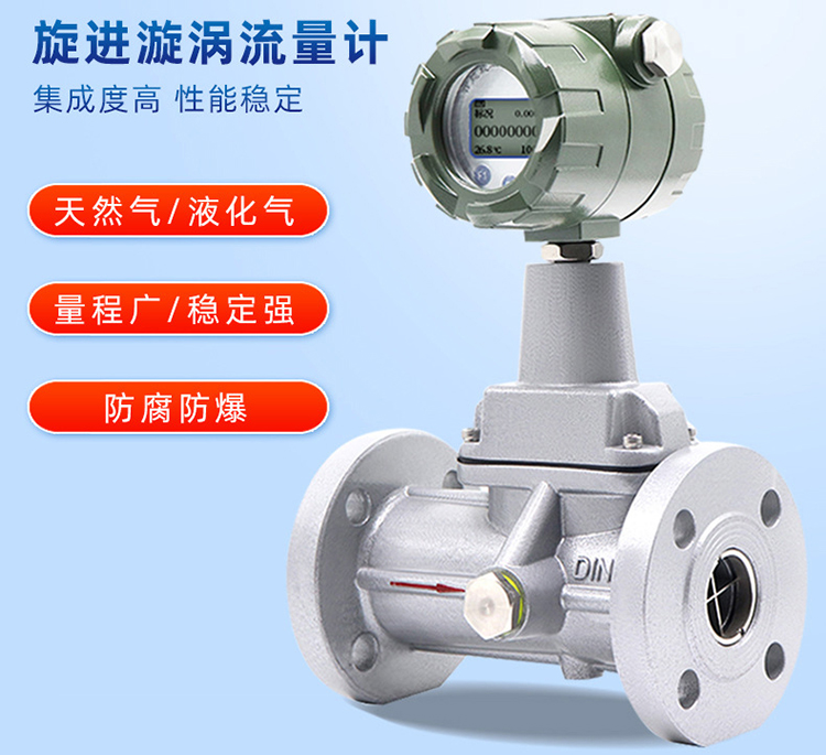 天然氣旋進旋渦流量計產(chǎn)品圖